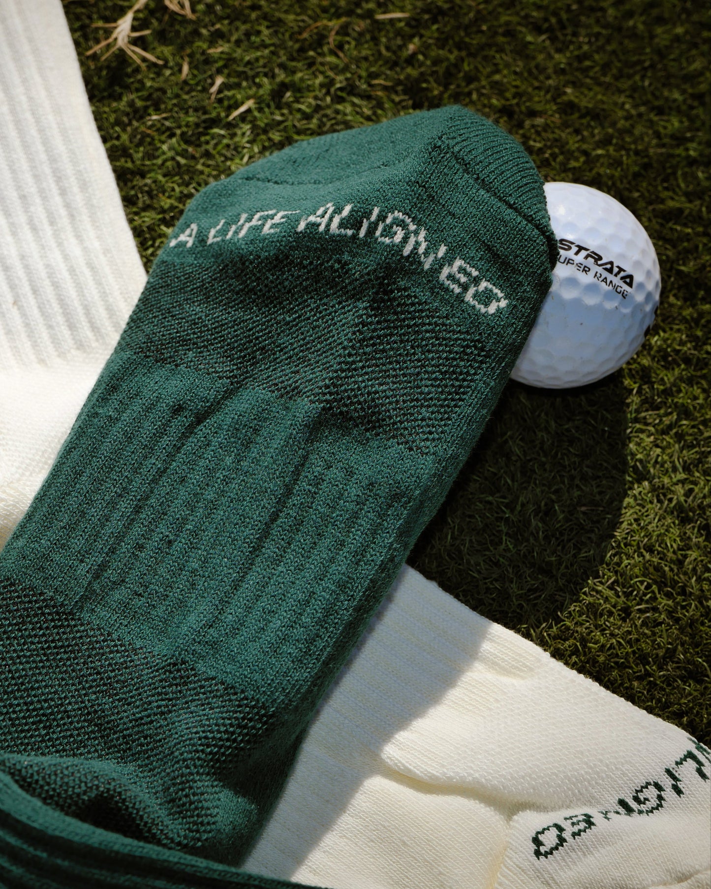 Everyday Sock