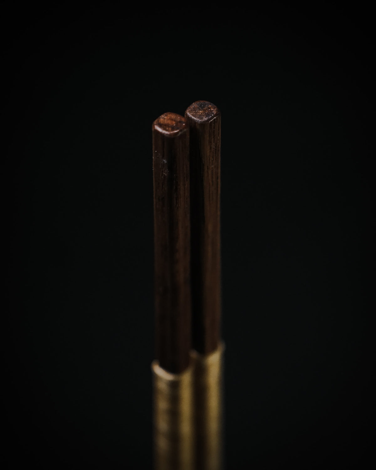GG ALIGNMENT STICKS V5